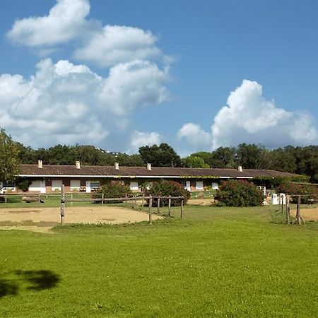 Residential Horse Club Costa Brava Hostel Santa Cristina d'Aro Δωμάτιο φωτογραφία