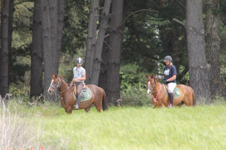 Residential Horse Club Costa Brava Hostel Santa Cristina d'Aro Εξωτερικό φωτογραφία