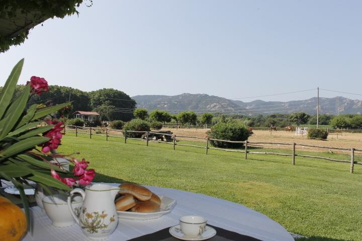 Residential Horse Club Costa Brava Hostel Santa Cristina d'Aro Δωμάτιο φωτογραφία